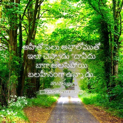 Picture 05 - 2 సమూయేలు 17:1 TELIRV - అహీతోపెలు - Bible Verse Picture
