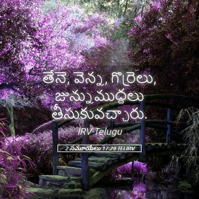 Picture 05 - 2 సమూయేలు 17:29 TELIRV - తేనె, వెన్న, - Bible Verse Picture