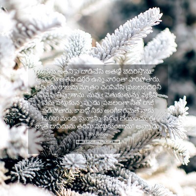 Picture 05 - 2 సమూయేలు 17:3 TELIRV - నేను అతనిపై - Bible Verse Picture