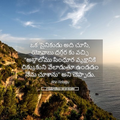 Picture 05 - 2 సమూయేలు 18:10 TELIRV - ఒక సైనికుడు అది - Bible Verse Picture