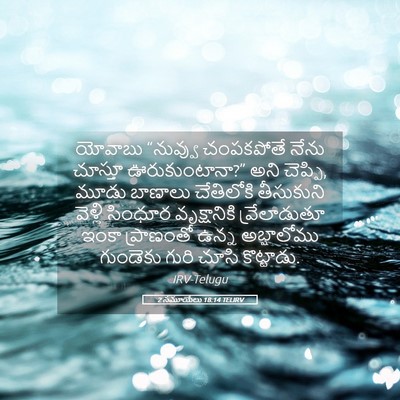 Picture 05 - 2 సమూయేలు 18:14 TELIRV - యోవాబు “నువ్వు - Bible Verse Picture