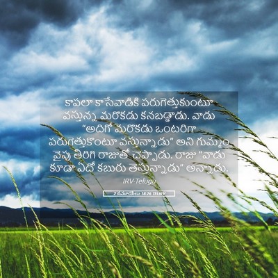Picture 05 - 2 సమూయేలు 18:26 TELIRV - కాపలా కాసేవాడికి - Bible Verse Picture