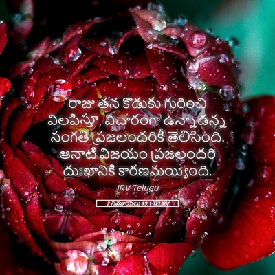 Picture 05 - 2 సమూయేలు 19:1 TELIRV - రాజు తన కొడుకు - Bible Verse Picture
