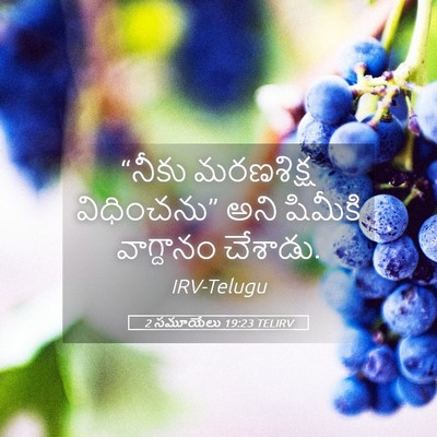 Picture 05 - 2 సమూయేలు 19:23 TELIRV - “నీకు మరణశిక్ష - Bible Verse Picture