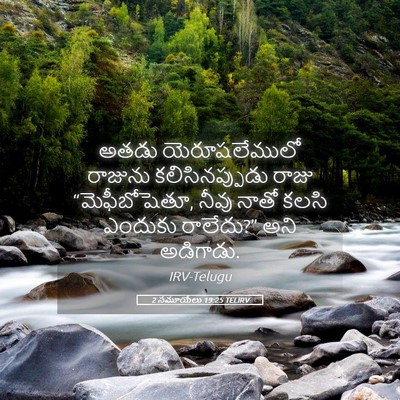 Picture 05 - 2 సమూయేలు 19:25 TELIRV - అతడు యెరూషలేములో - Bible Verse Picture