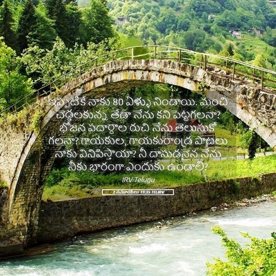 Picture 05 - 2 సమూయేలు 19:35 TELIRV - ఇప్పటికే నాకు 80 - Bible Verse Picture