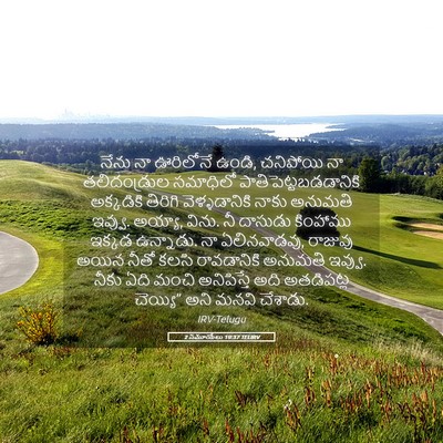 Picture 05 - 2 సమూయేలు 19:37 TELIRV - నేను నా ఊరిలోనే - Bible Verse Picture