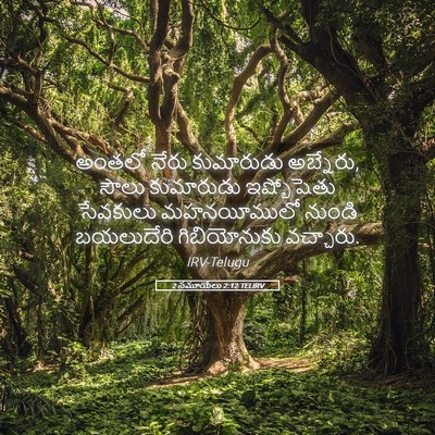 Picture 05 - 2 సమూయేలు 2:12 TELIRV - అంతలో నేరు - Bible Verse Picture