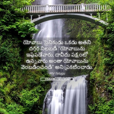 Picture 05 - 2 సమూయేలు 20:11 TELIRV - యోవాబు సైనికుడు - Bible Verse Picture