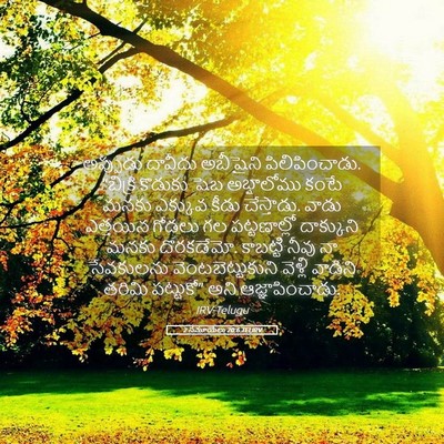 Picture 05 - 2 సమూయేలు 20:6 TELIRV - అప్పుడు దావీదు - Bible Verse Picture