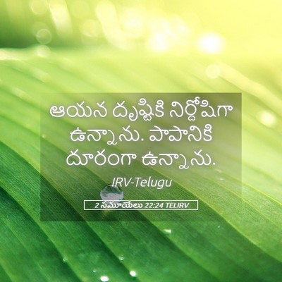 Picture 05 - 2 సమూయేలు 22:24 TELIRV - ఆయన దృష్టికి - Bible Verse Picture