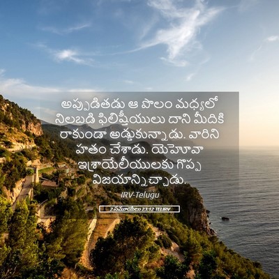 Picture 05 - 2 సమూయేలు 23:12 TELIRV - అప్పుడితడు ఆ పొలం - Bible Verse Picture
