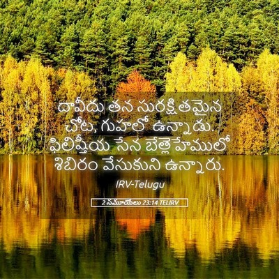 Picture 05 - 2 సమూయేలు 23:14 TELIRV - దావీదు తన - Bible Verse Picture
