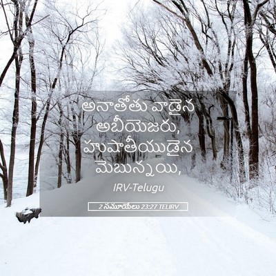 Picture 05 - 2 సమూయేలు 23:27 TELIRV - అనాతోతు వాడైన - Bible Verse Picture