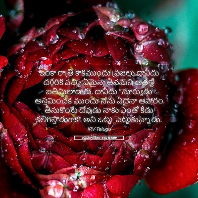 Picture 05 - 2 సమూయేలు 3:35 TELIRV - ఇంకా రాత్రి - Bible Verse Picture