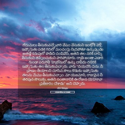 Picture 05 - 2 సమూయేలు 4:7 TELIRV - గోదుమలు - Bible Verse Picture