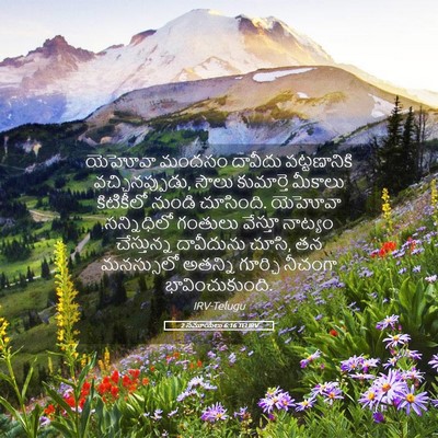 Picture 05 - 2 సమూయేలు 6:16 TELIRV - యెహోవా మందసం - Bible Verse Picture
