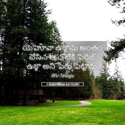 Picture 05 - 2 సమూయేలు 6:8 TELIRV - యెహోవా ఉజ్జాను - Bible Verse Picture
