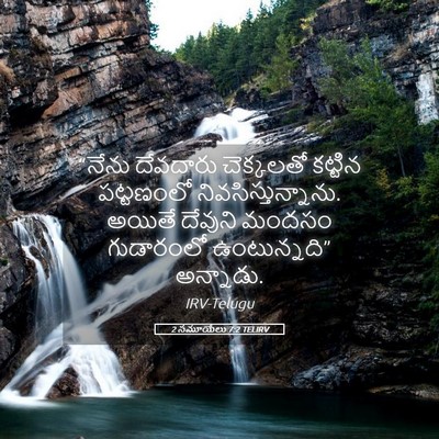 Picture 05 - 2 సమూయేలు 7:2 TELIRV - “నేను దేవదారు - Bible Verse Picture