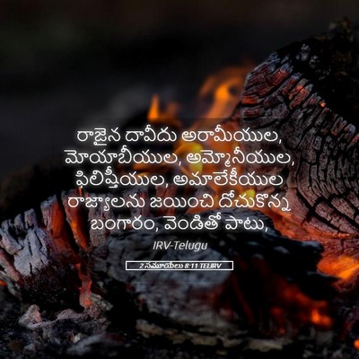 Picture 05 - 2 సమూయేలు 8:11 TELIRV - రాజైన దావీదు - Bible Verse Picture