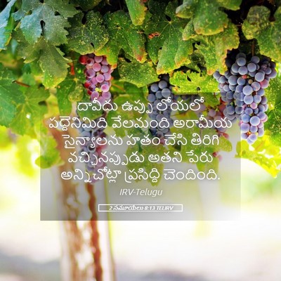 Picture 05 - 2 సమూయేలు 8:13 TELIRV - దావీదు ఉప్పు - Bible Verse Picture