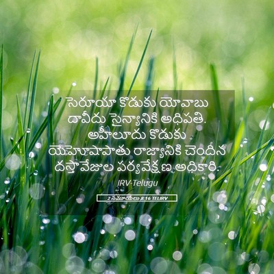 Picture 05 - 2 సమూయేలు 8:16 TELIRV - సెరూయా కొడుకు - Bible Verse Picture