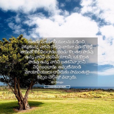 Picture 05 - 2 సమూయేలు 8:2 TELIRV - అతడు మోయాబీయులను - Bible Verse Picture