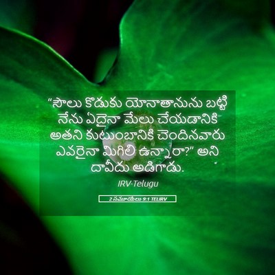 Picture 05 - 2 సమూయేలు 9:1 TELIRV - “సౌలు కొడుకు - Bible Verse Picture