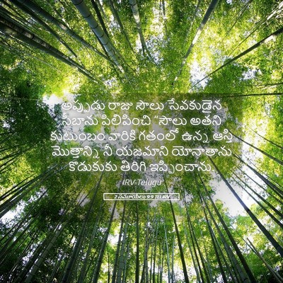 Picture 05 - 2 సమూయేలు 9:9 TELIRV - అప్పుడు రాజు సౌలు - Bible Verse Picture