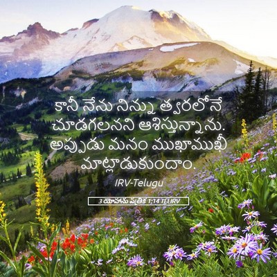 Picture 05 - 3 యోహాను పత్రిక 1:14 TELIRV - కానీ నేను నిన్ను - Bible Verse Picture