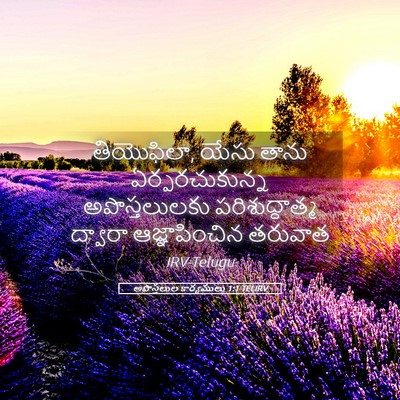 Picture 05 - అపొస్తలుల కార్యములు 1:1 TELIRV - తియొఫిలా, యేసు - Bible Verse Picture