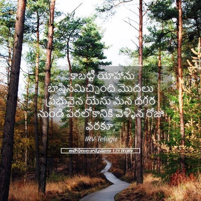 Picture 05 - అపొస్తలుల కార్యములు 1:21 TELIRV - “కాబట్టి యోహాను - Bible Verse Picture