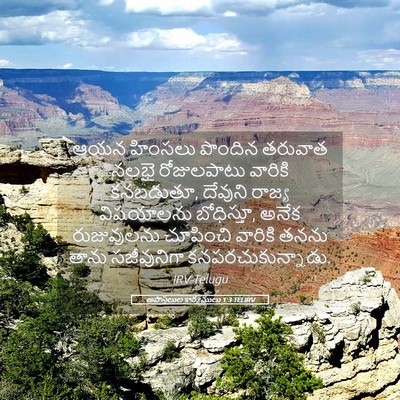 Picture 05 - అపొస్తలుల కార్యములు 1:3 TELIRV - ఆయన హింసలు పొందిన - Bible Verse Picture