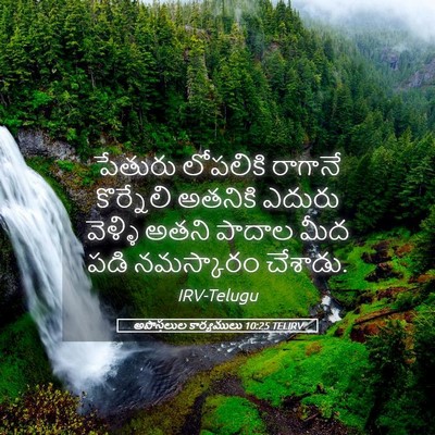 Picture 05 - అపొస్తలుల కార్యములు 10:25 TELIRV - పేతురు లోపలికి - Bible Verse Picture