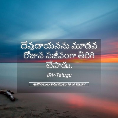 Picture 05 - అపొస్తలుల కార్యములు 10:40 TELIRV - దేవుడాయనను మూడవ - Bible Verse Picture