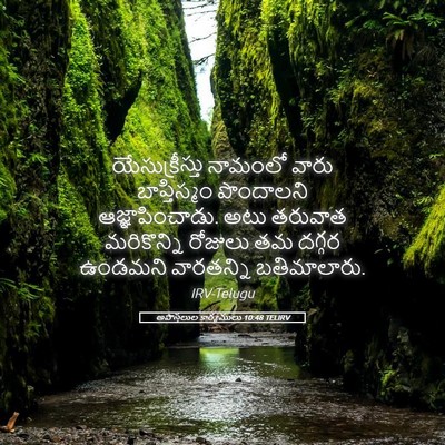 Picture 05 - అపొస్తలుల కార్యములు 10:48 TELIRV - యేసుక్రీస్తు - Bible Verse Picture