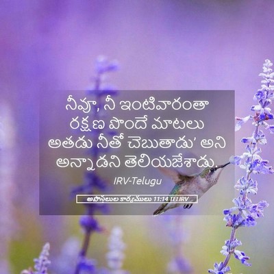 Picture 05 - అపొస్తలుల కార్యములు 11:14 TELIRV - నీవూ, నీ - Bible Verse Picture