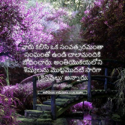 Picture 05 - అపొస్తలుల కార్యములు 11:26 TELIRV - వారు కలిసి ఒక - Bible Verse Picture