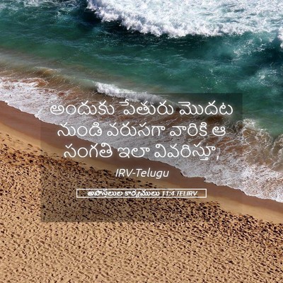 Picture 05 - అపొస్తలుల కార్యములు 11:4 TELIRV - అందుకు పేతురు - Bible Verse Picture