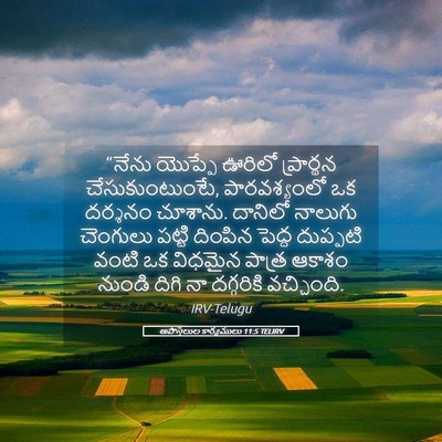 Picture 05 - అపొస్తలుల కార్యములు 11:5 TELIRV - “నేను యొప్పే - Bible Verse Picture