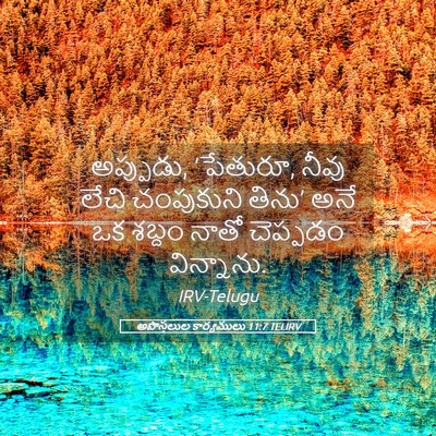 Picture 05 - అపొస్తలుల కార్యములు 11:7 TELIRV - అప్పుడు, ‘పేతురూ, - Bible Verse Picture