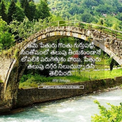 Picture 05 - అపొస్తలుల కార్యములు 12:14 TELIRV - ఆమె పేతురు గొంతు - Bible Verse Picture