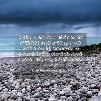 Picture 05 - అపొస్తలుల కార్యములు 12:19 TELIRV - హేరోదు అతని కోసం - Bible Verse Picture