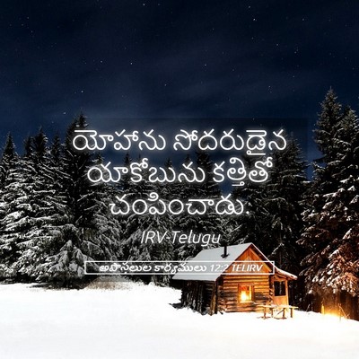 Picture 05 - అపొస్తలుల కార్యములు 12:2 TELIRV - యోహాను సోదరుడైన - Bible Verse Picture