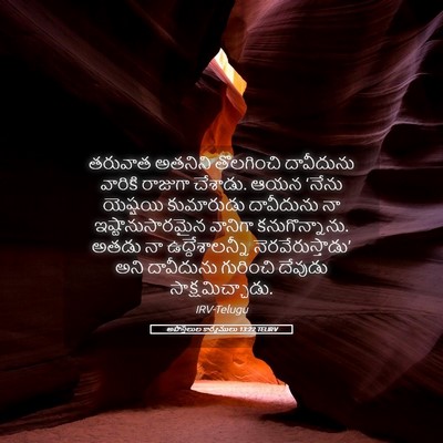 Picture 05 - అపొస్తలుల కార్యములు 13:22 TELIRV - తరువాత అతనిని - Bible Verse Picture