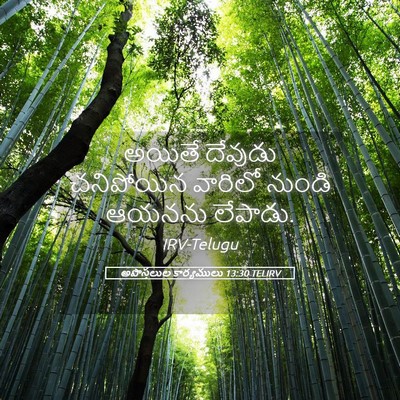 Picture 05 - అపొస్తలుల కార్యములు 13:30 TELIRV - అయితే దేవుడు - Bible Verse Picture