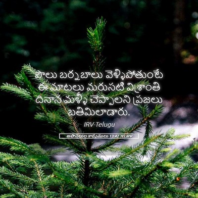 Picture 05 - అపొస్తలుల కార్యములు 13:42 TELIRV - పౌలు బర్నబాలు - Bible Verse Picture