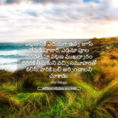 Picture 05 - అపొస్తలుల కార్యములు 14:13 TELIRV - పట్టణానికి - Bible Verse Picture