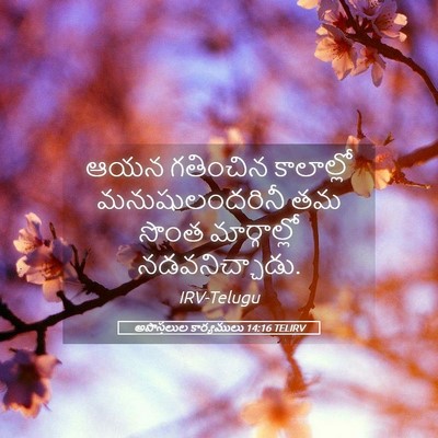 Picture 05 - అపొస్తలుల కార్యములు 14:16 TELIRV - ఆయన గతించిన - Bible Verse Picture