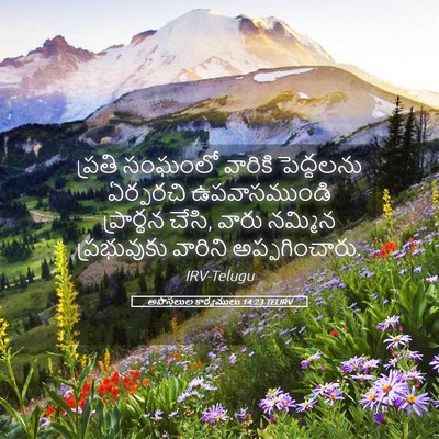 Picture 05 - అపొస్తలుల కార్యములు 14:23 TELIRV - ప్రతి సంఘంలో - Bible Verse Picture